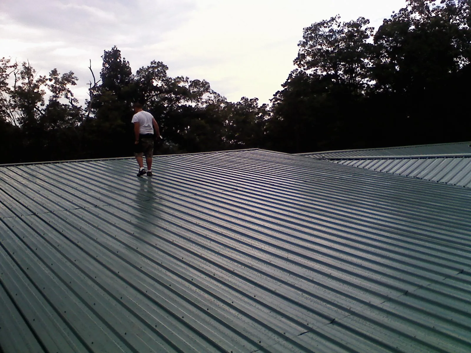 Roofer walking a wide expanse of new green metal roofing in Prosperity
